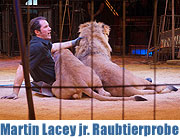 kommentierte öffentliche Raubtierprobe mit Martin Lacey jr. im Rahmen des Krone Zoos in der Manege (©Foto: Martin Schmitz)